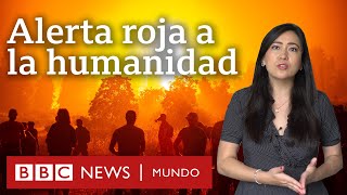 5 revelaciones del informe de la ONU sobre cambio climático y qué dice sobre América Latina [upl. by Oratnek]