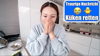 Schlechte Nachricht 😢 Enten Küken Tag 4  Emotionaler VLOG  Mamiseelen [upl. by Felske124]