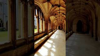 Lacock Abbey Cloisters doubled as Hogwarts in Harry Potter harrypotter Lacock hogwarts [upl. by Leighton]