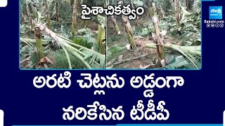 పైశాచికత్వం  TDP Leaders Rowdyism In Ramakuppam  SakshiTV [upl. by Irpac707]