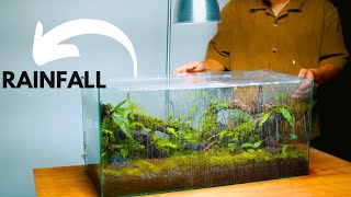 i made a forest style terrarium with a rainfall and mist  rainfall terrarium [upl. by Norty]