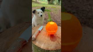 Fantastic Idea Orange and Oil Lamp for Camping survival camping lifehacks [upl. by Skerl701]