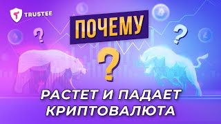 Почему растет или падает Криптовалюта  Рост и Падение Биткоина [upl. by Alwin482]