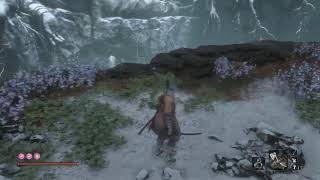 Sekiro Live Sunken Valley [upl. by Yremogtnom]