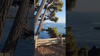 One of d most beautiful places of Mendocino Russian Gulch State Park🌸✨️💜 SFDiaries [upl. by Beret]