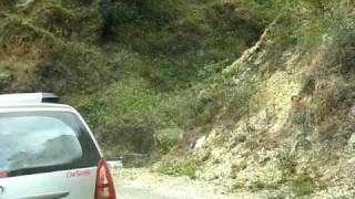 Road side wild cat in India [upl. by Lourdes82]