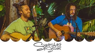 Iya Terra  Movement Live Music  Sugarshack Sessions [upl. by Cissie]