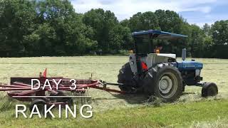 The entire process of making hay in two minutes [upl. by Llenil]