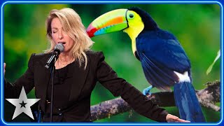 Geneviève Côté wows Judges with UNREAL animal impressions  Auditions  BGT 2024 [upl. by Toll]