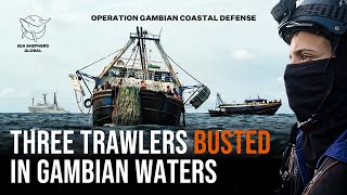 Three Trawlers Busted in Gambian Waters [upl. by Sesylu]