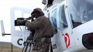 Labrador Caribou Heli Filming Trip [upl. by Toole]