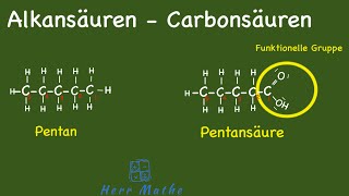 Zusammenfassung Alkansäuren  Carbonsäuren [upl. by Reynold29]