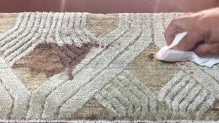 Fabric Protection on Wool and Silk Carpet Concord MA [upl. by Skill40]