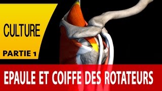 TFit Coaching  L épaule et la coiffe des rotateurs partie 1 [upl. by Hnahc946]