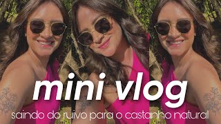 SAINDO DO RUIVO RESOLVI MUDAR A COR DO CABELO E MOSTREI TODO O PROCESSO  mini vlog [upl. by Esereht]