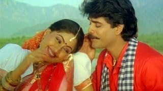 Janaki Ramudu Songs  Chilaka Pachha Thotalo  Nagarjuna  Vijaya Shanthi [upl. by Garneau]