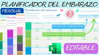 Planificador Mensual del Embarazo📆Editable en Excel✅Gestograma👶 [upl. by Ellenaej]