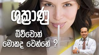 ශුක්‍රාණු බිව්වොත් මොකද වෙන්නේ   Dr Namal Wijesinghe [upl. by Aiet]