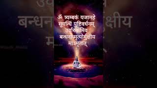 Maha Mrityunjaya Mantra  with lyrics [upl. by Luing480]