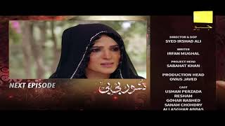 Noor Bibi  Episode 19 Teaser  HAR PAL GEO [upl. by Wallace]