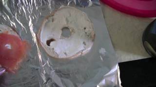 How to Make Bagel with Lox with AlyMew [upl. by Burn886]