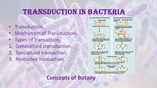 Transduction in bacteria Types of transduction HindiUrdu Concepts of Botany [upl. by Nilhsa850]