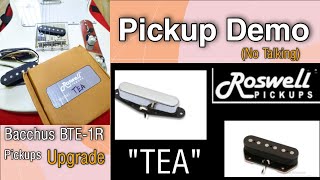 Roswell TEA Telecaster Set Pickups Demo not talking  Bacchus BTE 1R Guitar [upl. by Mushro]