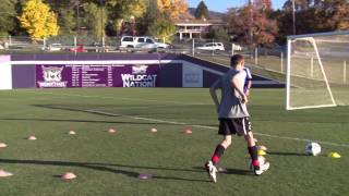 Basic Youth Soccer Drills  Dribbling 3 [upl. by Hollyanne933]