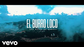 El Burro Loco Video Oficial 2023  Los Rayos de Oaxaca [upl. by Wayne]