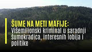 Šume na meti mafije Višemilionski kriminal u saradnji šumokradica interesnih lobija i politike [upl. by Assirim]