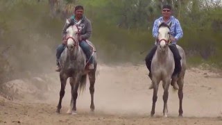 Carreras de Caballos  quotEl Cadetequot Grupo Laberinto [upl. by Aviva]