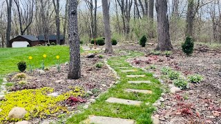 Spring Garden Tour in April Heuchera Brunnera Daffodils Hosta Hellebore and more popping up [upl. by Illona943]