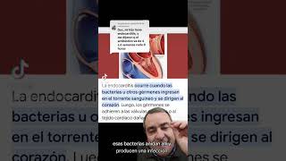 que es la endocarditis bacteriana [upl. by Ahsuas]