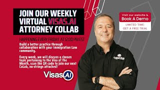 US Immigration Attorneys Answer Marriage Visa Questions amp More VisasAI Attorney Collab [upl. by Chariot]