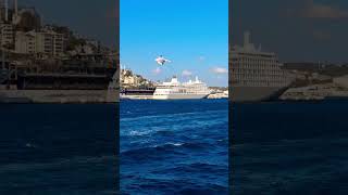 One city two continentsBosphorus cruiseshorts [upl. by Savick]