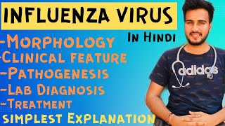 Influenza virus microbiology  influenza virus in Hindi [upl. by Gonzalez]