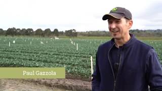 Farm Chat  Gazzola Farms [upl. by Currier]