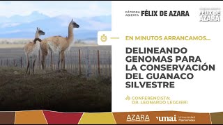 Delineando genomas para la conservación del guanaco silvestre [upl. by Renault]