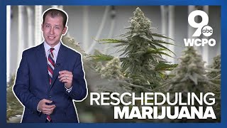 Cincinnati dispensary celebrates DEA rescheduling marijuana [upl. by Eckart409]