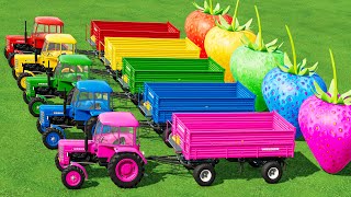 Transporter with Colors TRANSPORTING amp SPREADING MANURE with MINI URSUS TRACTORS amp SPREADERS [upl. by Ahmed]