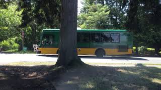 King County Metro Bus 480 in Mercer Island WA [upl. by Idnahk]