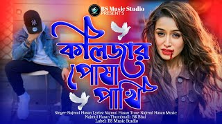 কলিজার পোষা পাখি 🐦😭 Kolijar Posha Pakhi  Najmul Hasan  Tiktok Vairal Song 2024  Bangali Sad Song [upl. by Ayotak]