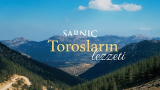 Sarnıç Restaurant  Torosların Lezzeti [upl. by Ennovyhs]