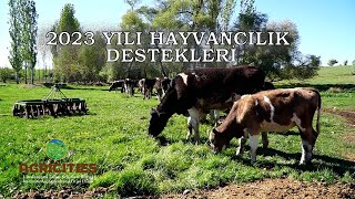 2023 Hayvancılık Destekleri [upl. by Anatnas]