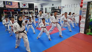 STEALTH TAEKWONDO  Taekwondo Training in Stealth Prime Centre Denai Alam [upl. by Rhine374]