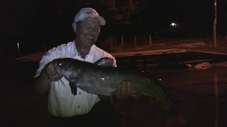 Boatless Angler  Night Bite Channel Catfish  Catching Catfish from a Dock [upl. by Greenburg]