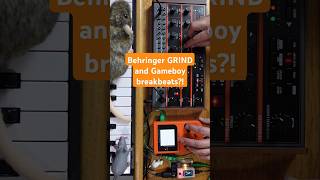 Behringer GRIND amp Gameboy AMENIZER  breakbeats [upl. by Dysart509]