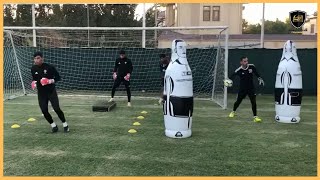 Professional Goalkeeper Training [upl. by Mayeda]