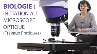 Initiation au Microscope Optique [upl. by Eelik]