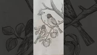 Bird drawing step by step pencil sketch art drawing painting easydrawing [upl. by Anyahc]